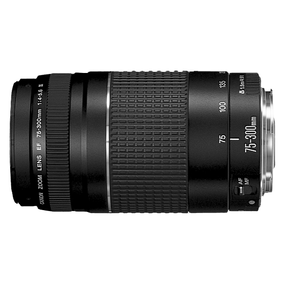 Canon EF 75-300mm f/4.0-5.6 III | Telephoto Zoom Lens