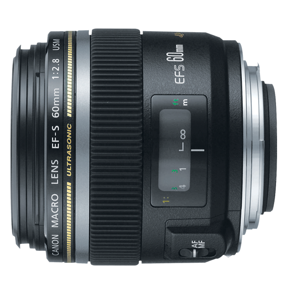 Canon EF-S 60mm f/2.8 Macro USM | Macro Lens