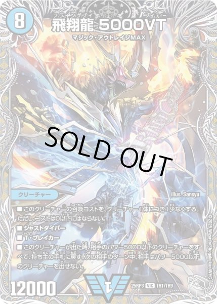 飛翔龍5000VT【VIC】{25RP3TR1/TR9}《水》