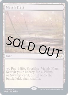 湿地の干潟 - カードラッシュ[MTG]