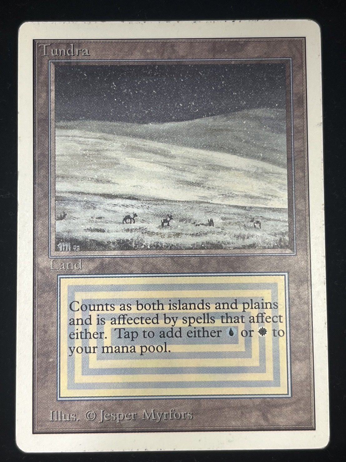 PLD]Tundra《英語》【2ED】#219 - カードラッシュ[MTG]