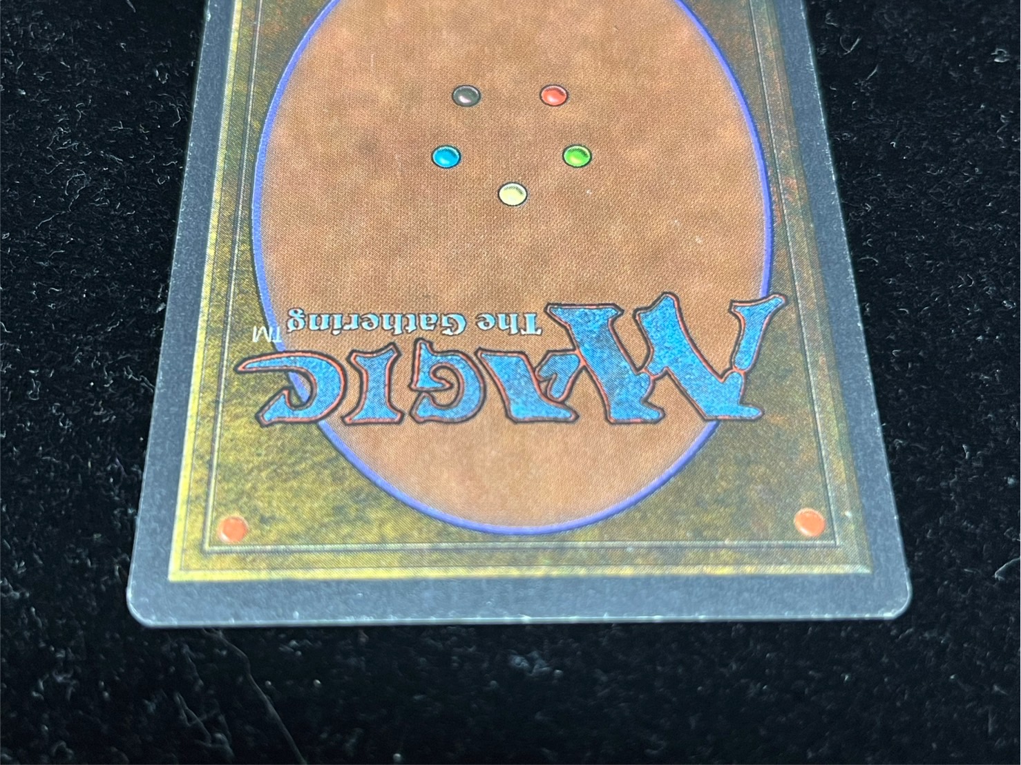 PLD]Timetwister《英語》【2ED】#239