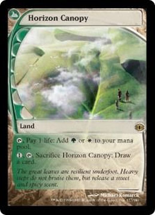 EX]地平線の梢/Horizon Canopy《英語》【FUT】