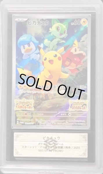 ARS9鑑定済〕ピカチュウ【P】{001/SV-P}