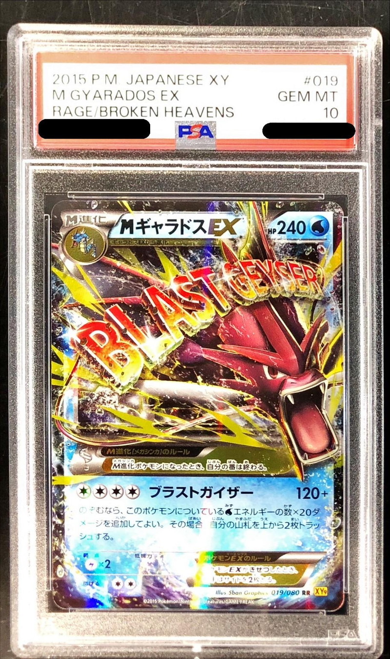 PSA10鑑定済〕MギャラドスEX【RR】{019/080}