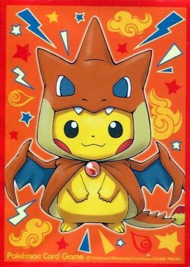 ポケモンセンター ポンチョを着たピカチュウ 名刺カード メガ