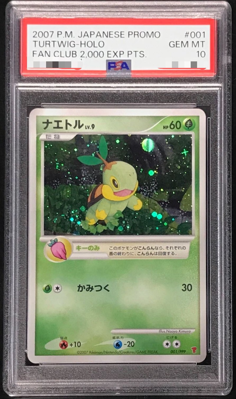PSA10鑑定済〕ナエトル【P】{001/PPP}