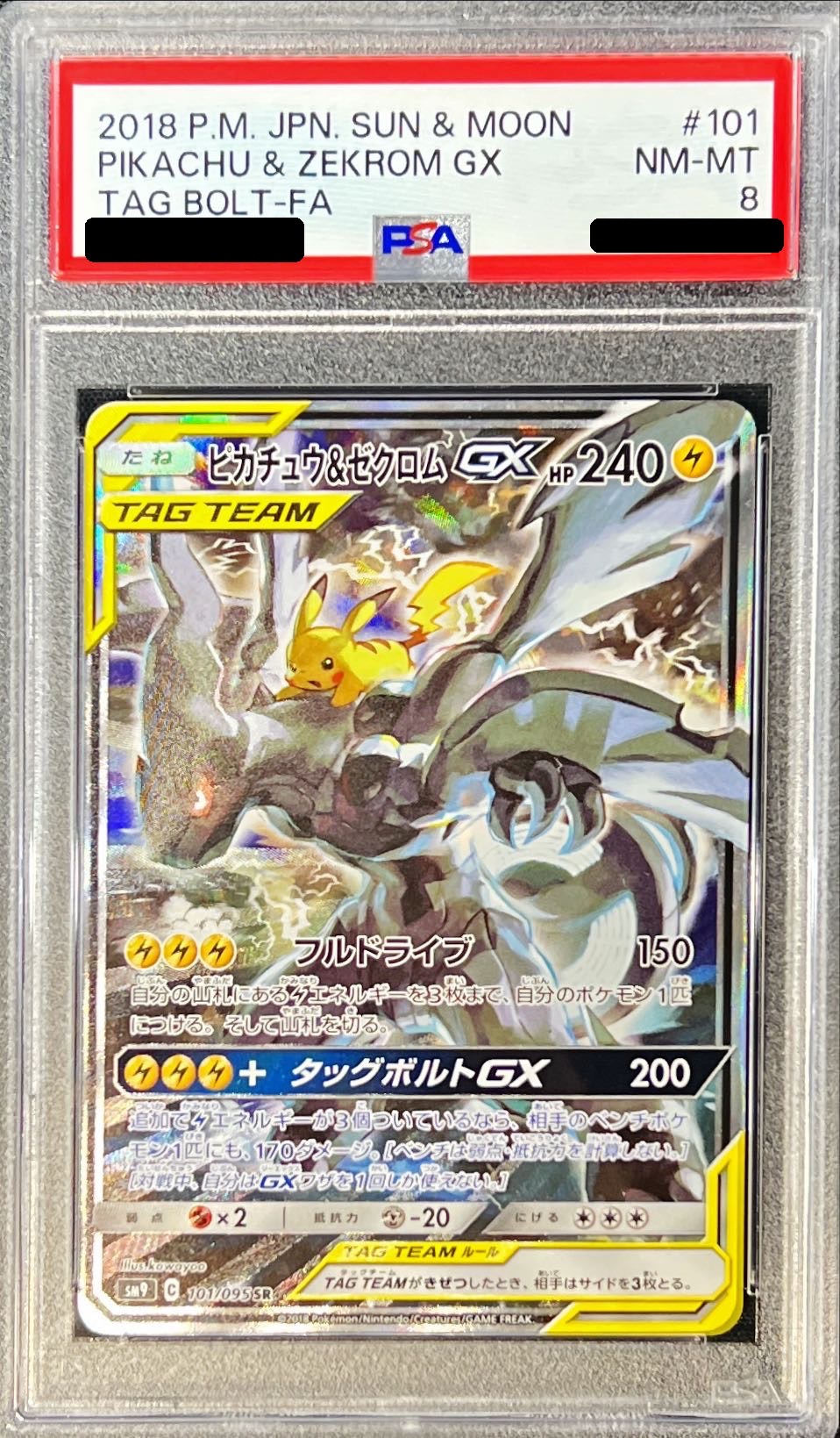 PSA8鑑定済〕ピカチュウ＆ゼクロムGX(SA)【SR】{101/095}