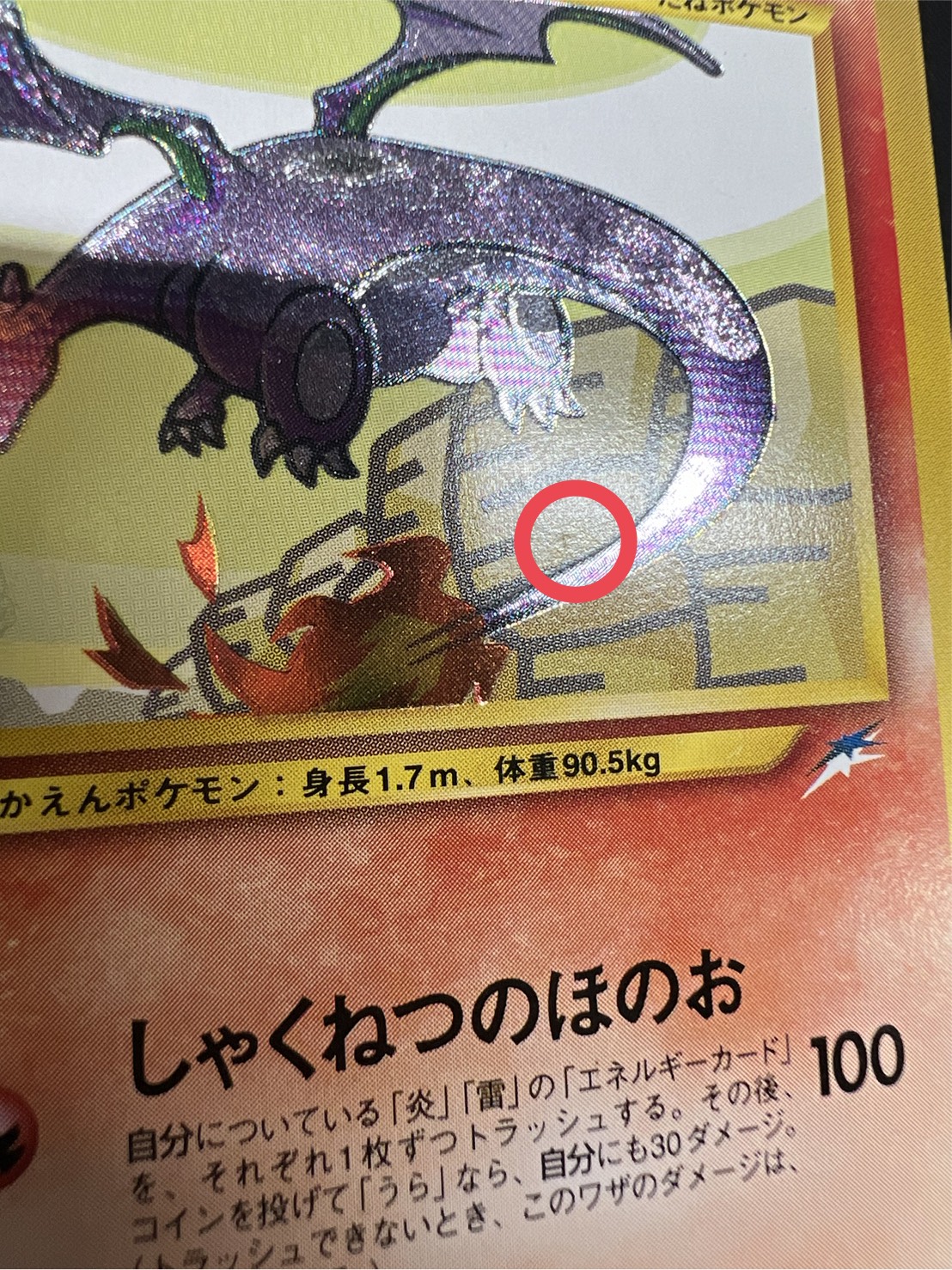 状態A-〕ひかるリザードン【-】{旧裏}