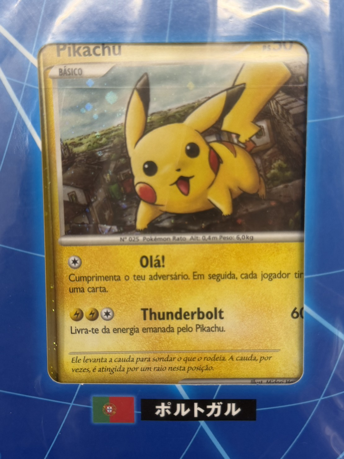 絶版プロモ= PWコンプリート ピカチュウ ワールドコレクション2010