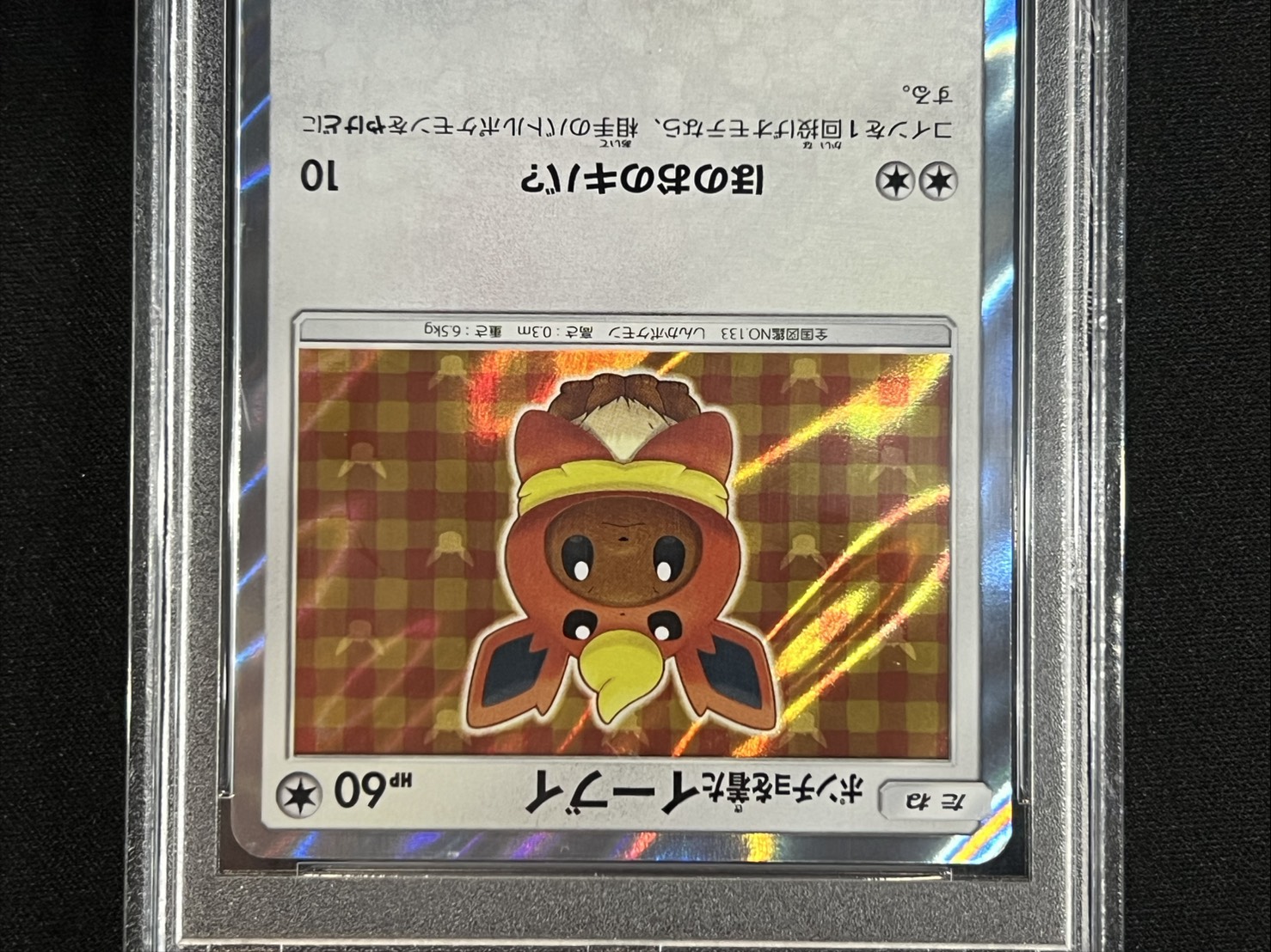 PSA10鑑定済〕ポンチョを着たイーブイ(BS)【P】{139/SM-P}