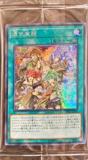 スリーブ『清冽の水霊使いエリア』70枚【-】{-}《スリーブ》