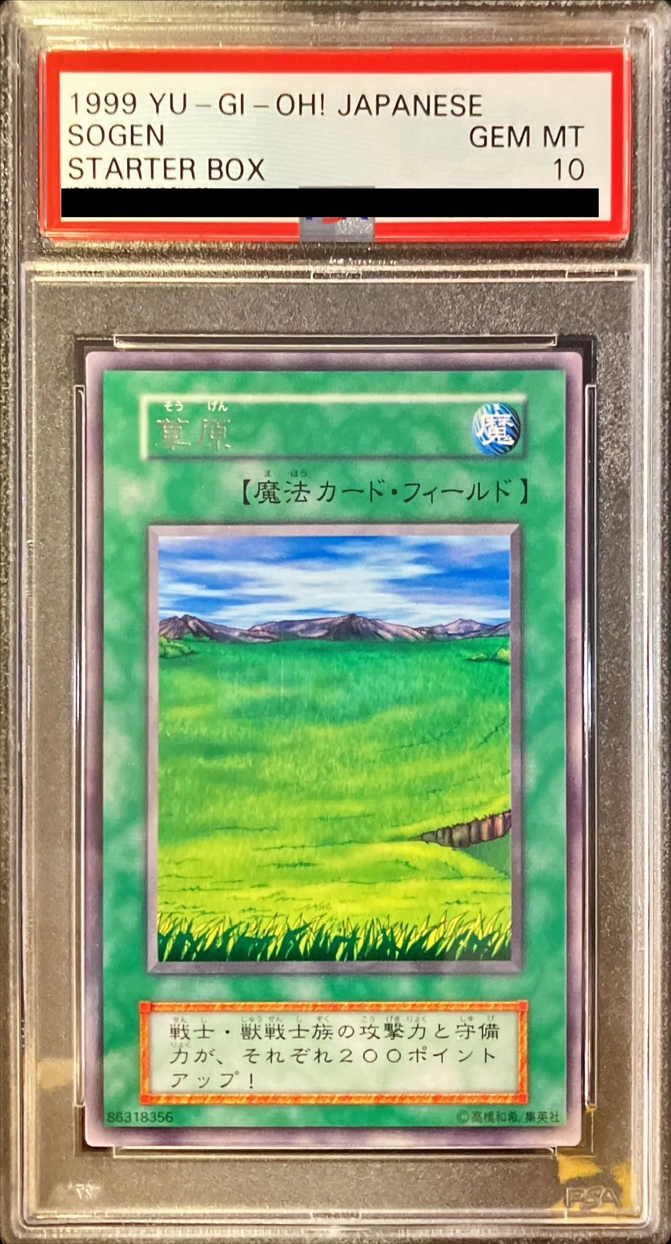 d*3様 【PSA10】「草原」初期 スタジオダイス版 d*3様 【PSA10】「草原」