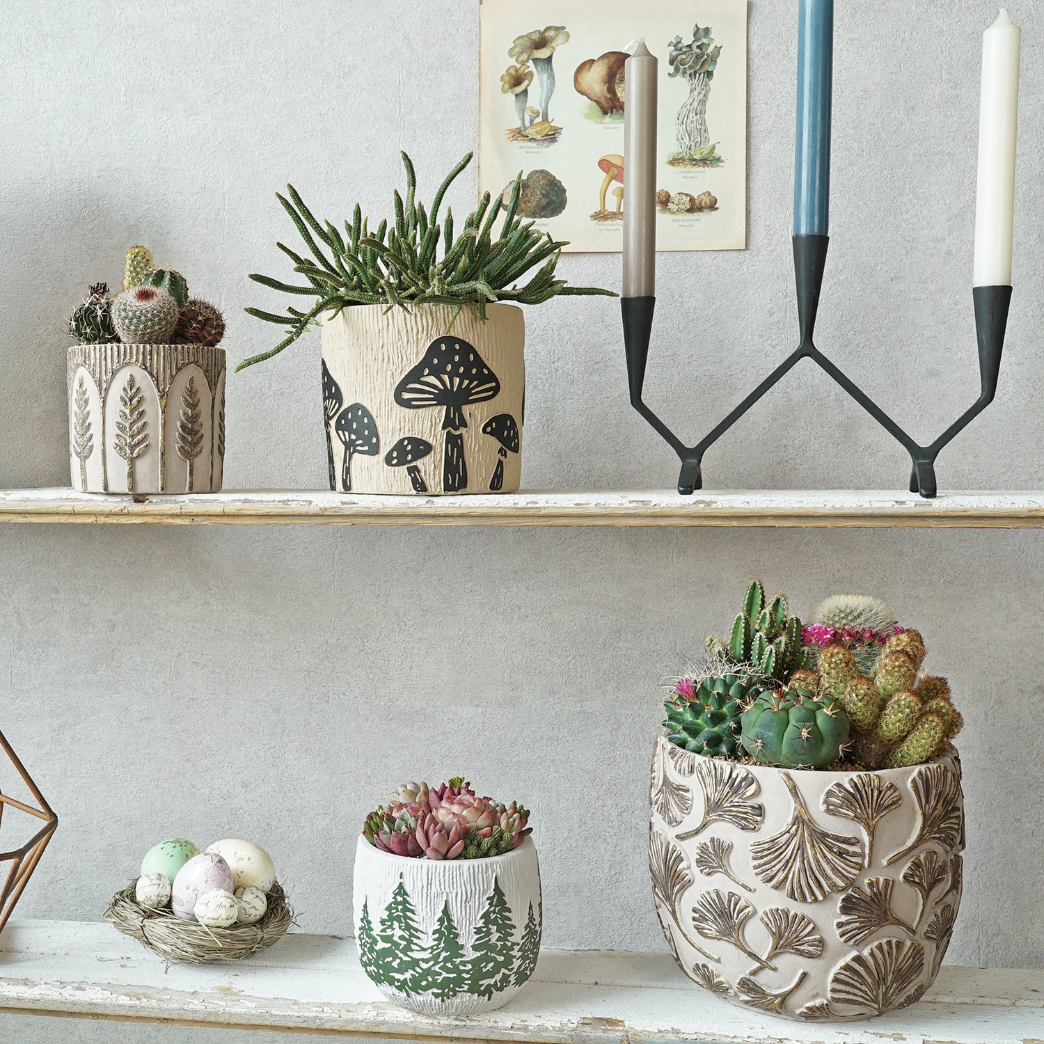 新作入荷 CP品番ヴィクトルポ｜株式会社カルナック