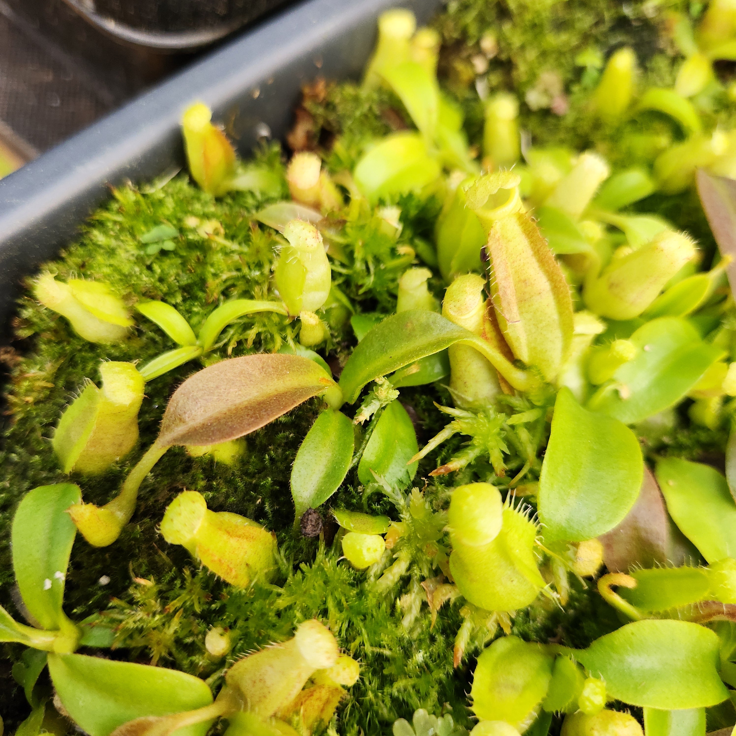 20250131_152615.jpg?v=