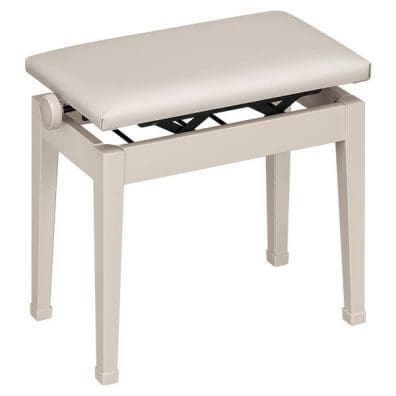 CT-S400 オプション | CASIO