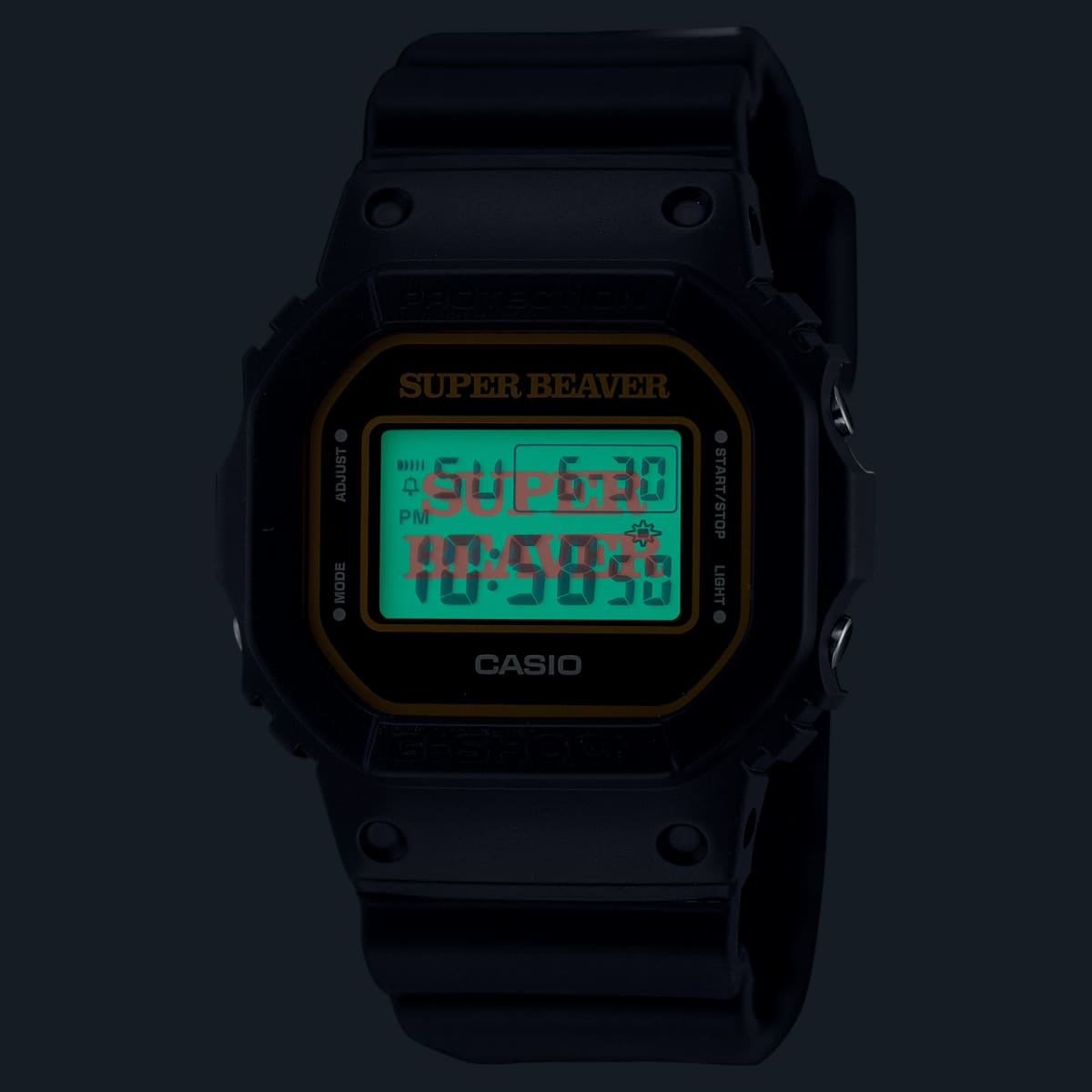 DW-5600SB23-1JR | CASIO