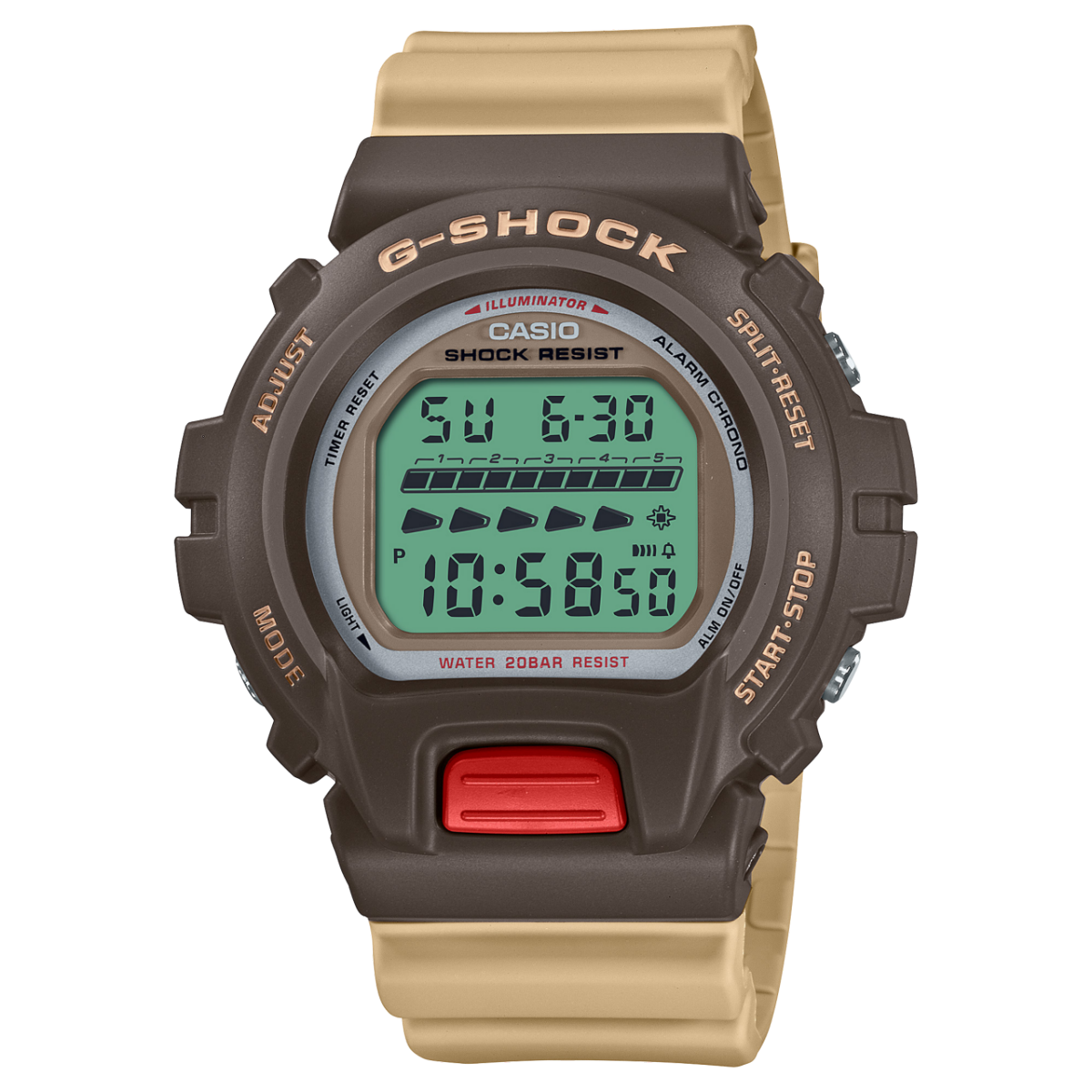 DW-6600PC-5JF | CASIO