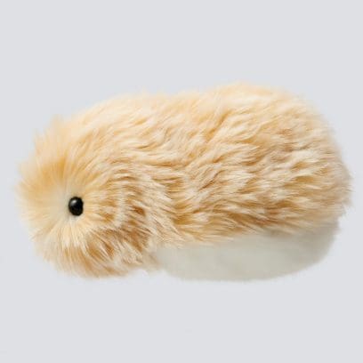 Moflin ( GOLD ) | CASIO