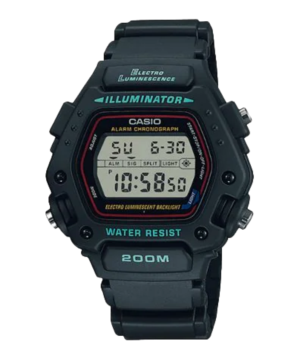 DW290-1V | Black Digital Watch | CASIO