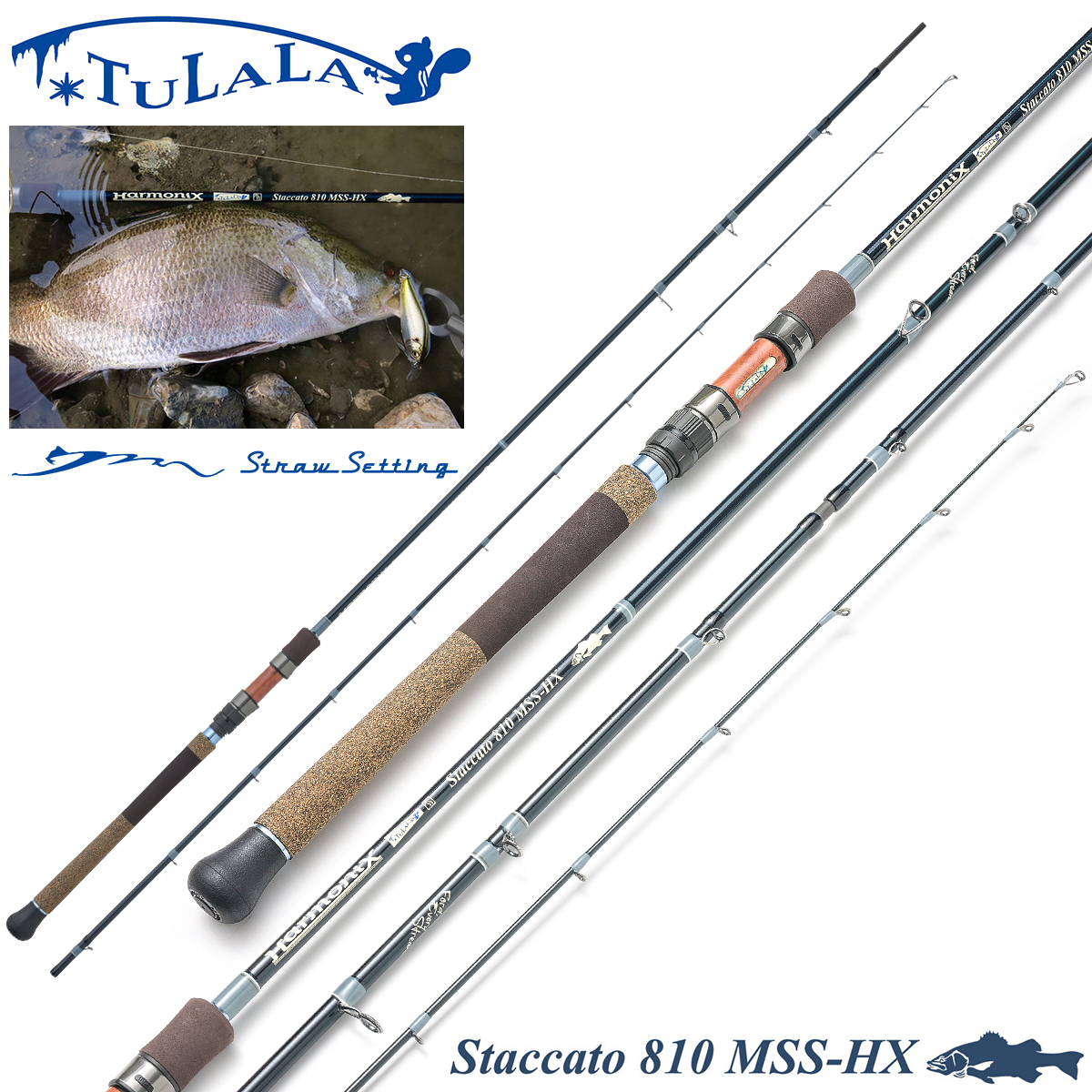 ツララ(TULALA) 24ハーモニクス スタッカート810MSS-HX ストロー