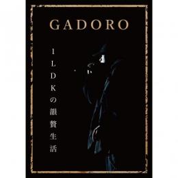CASTLE-RECORDS/商品詳細 GADORO / 1LDK の韻贅生活