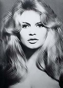 リチャード・アヴェドン写真集｜Avedon Fashion| 古本買取セシルライブラリ