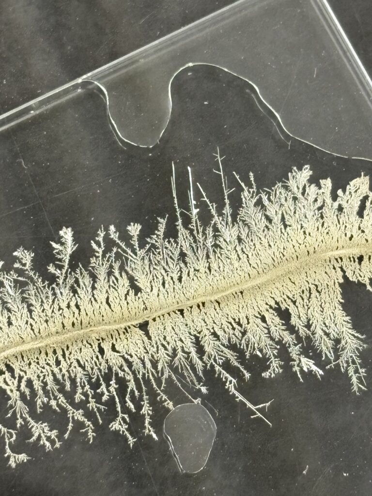 高校3年生・化学】「実験から学ぶ化学基礎」第5回 | 聖セシリア女子