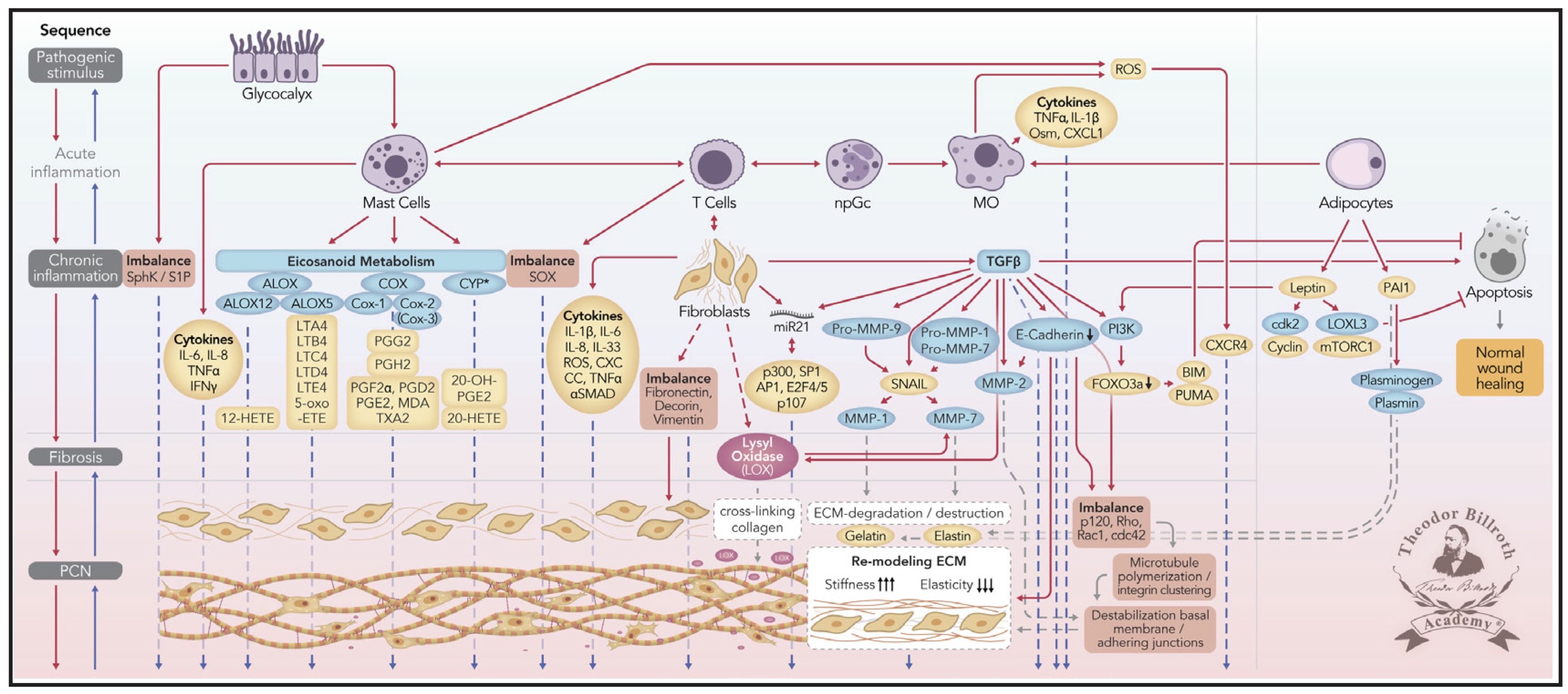 Epistemology of the Origin of Cancer III: Fundamentals of How