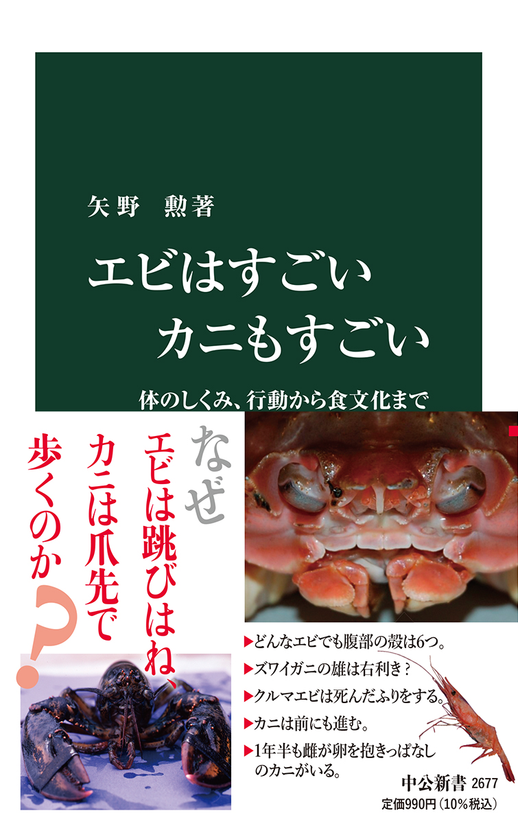 エビはすごい カニもすごい 体のしくみ、行動から食文化まで -矢野勲