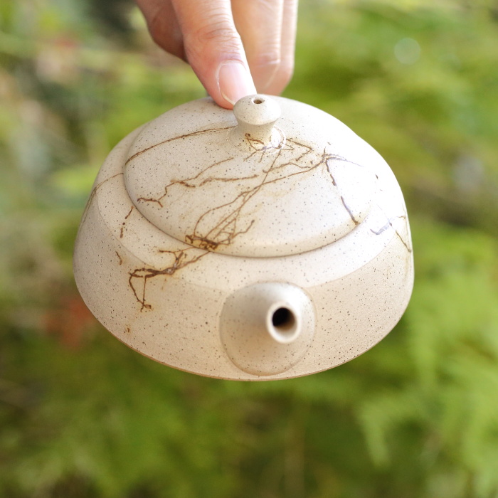 伊藤成二 平型白藻掛け茶壷 満容量180ml 作家ものティーポット 日本茶