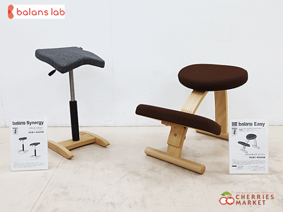 バランスラボ】サカモトハウス バランス イージー 通常フレーム