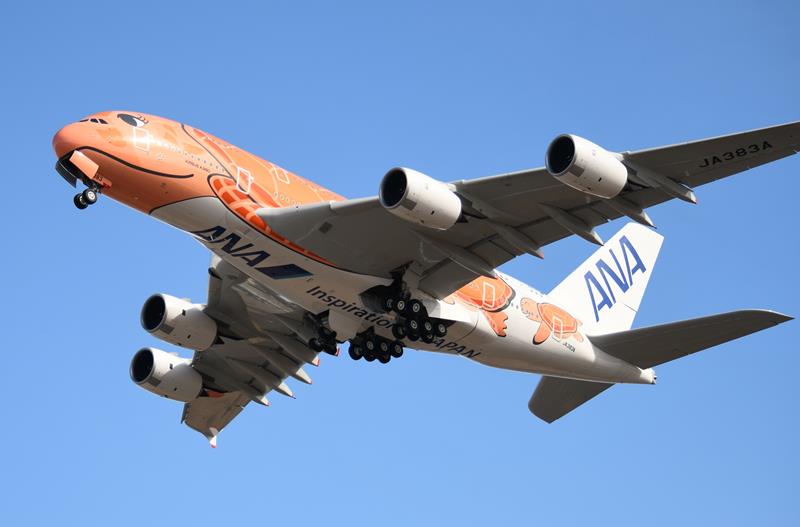 オレンジウミガメ機投入 2年越しの出番 10月からANA 成田