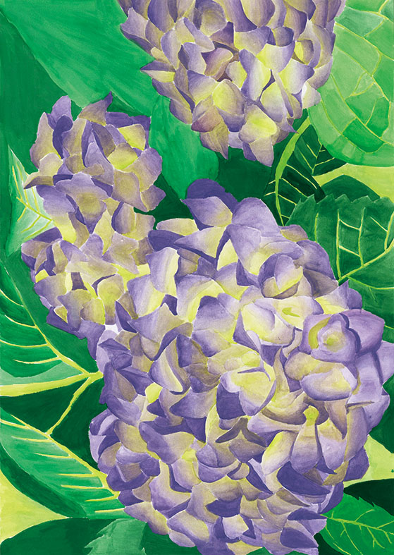 第29回花と緑の絵コンクールの受賞作品が決定しました！ | 公益財団