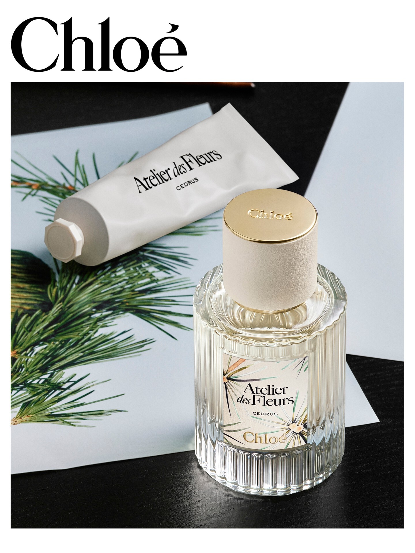 Atelier des Fleurs Cedrus Eau de Parfum - Édition limitée 50 ml