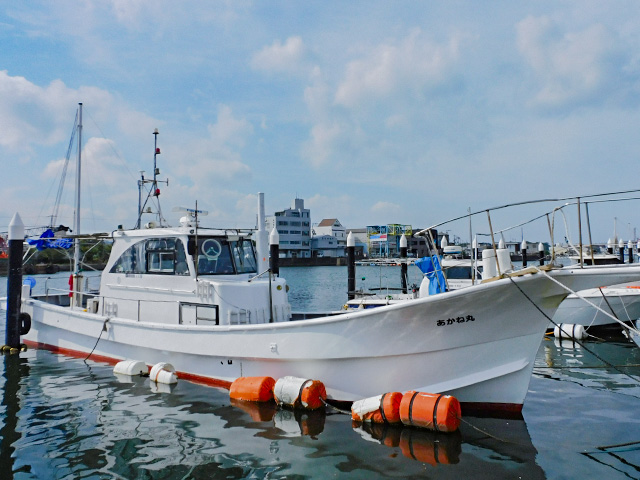 乗合]＜半日便＞タチウオ釣りプラン |あかね丸