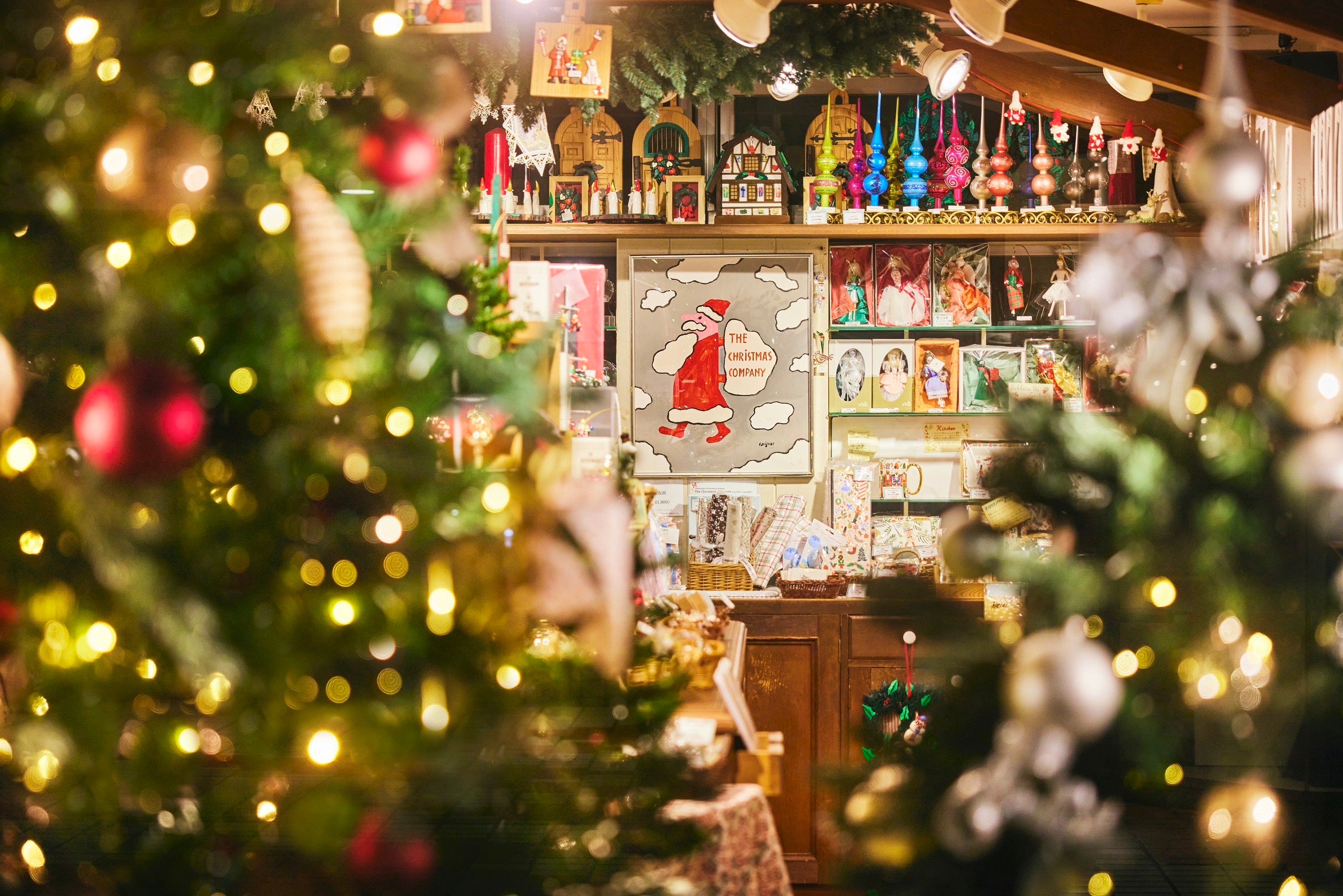 IMG_5207_2507x.jpg?v=1734043975