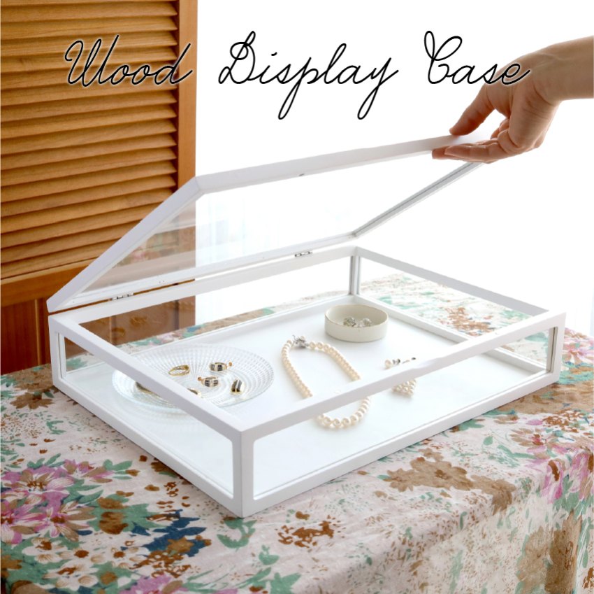 フランスアンティークガラスケース アクセサリーケース ディスプレイ