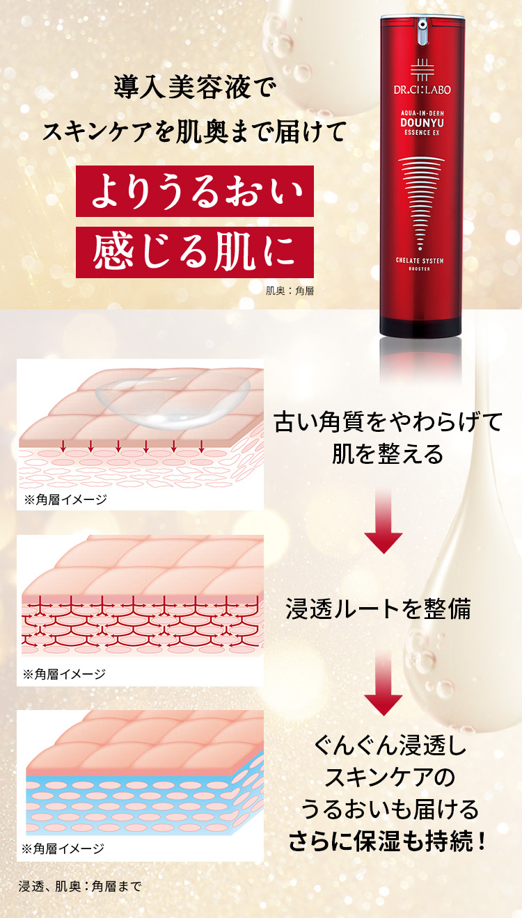 アクアインダーム 導入エッセンス EX スペシャル 100ml