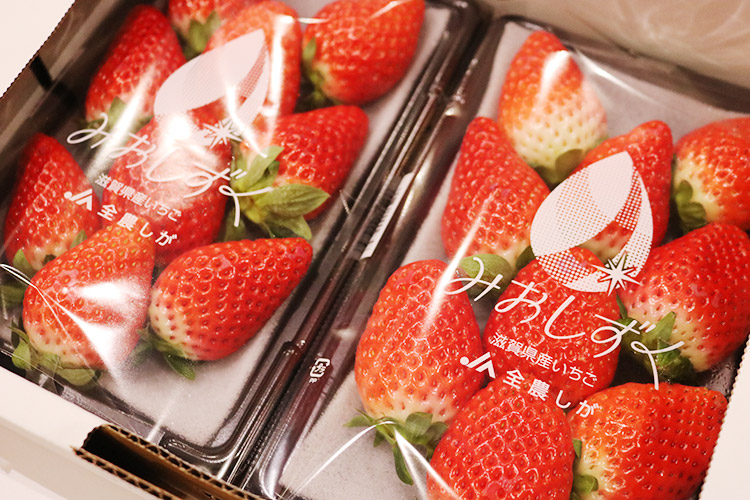 2025年12月19日JA全農しが みおしずく苺セールス ｜ 東京シティ青果
