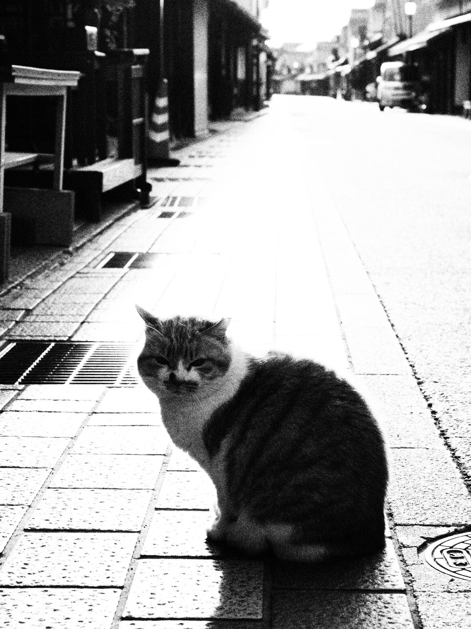 昭和風（フォト＠丹波篠山）／丹波篠山市