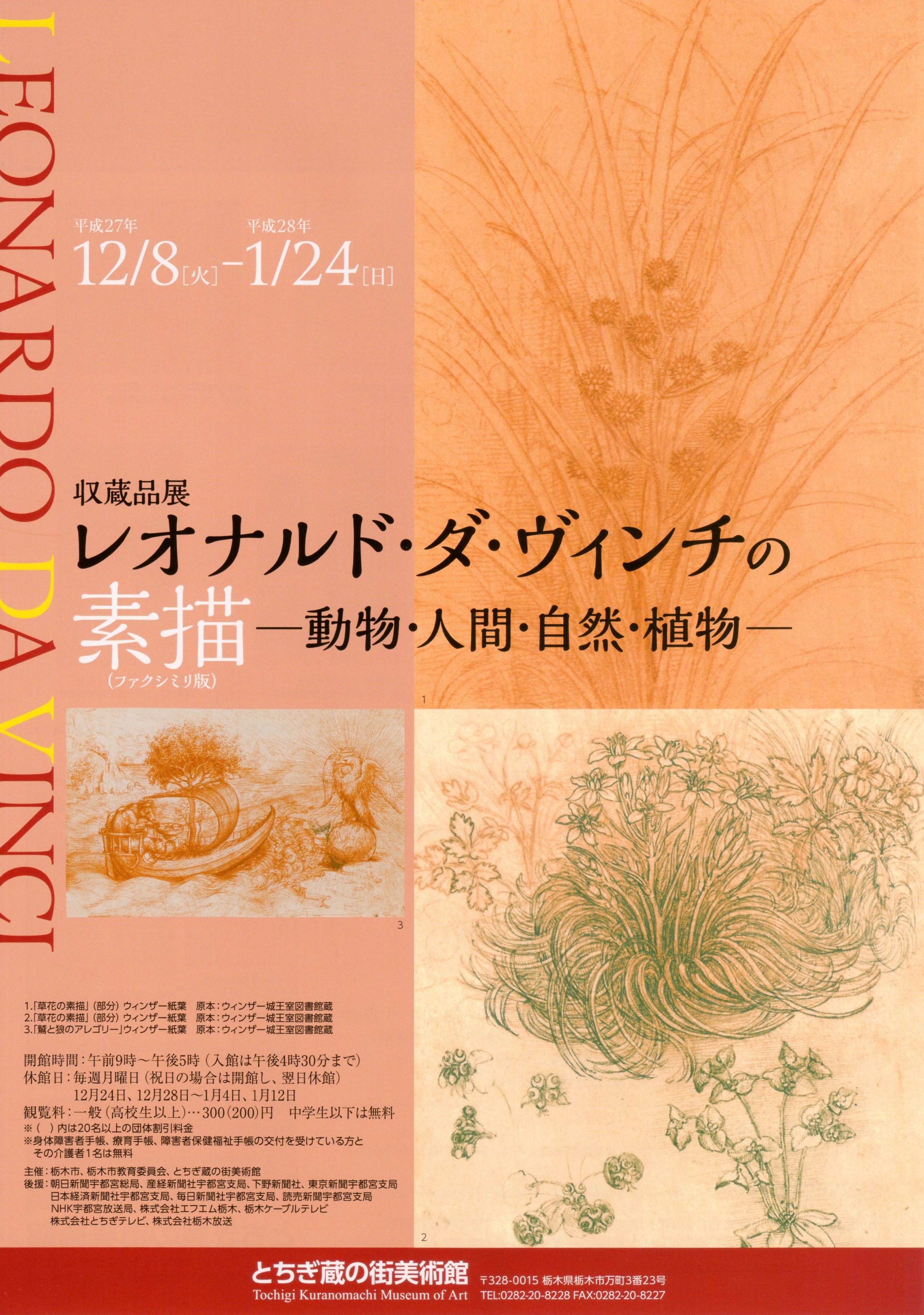 収蔵品展 レオナルド・ダ・ヴィンチの素描（ファクシミリ版）―動物