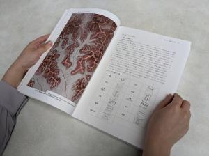 大桑城跡総合調査報告書の刊行と一般販売について - 大桑城跡 - 山県市