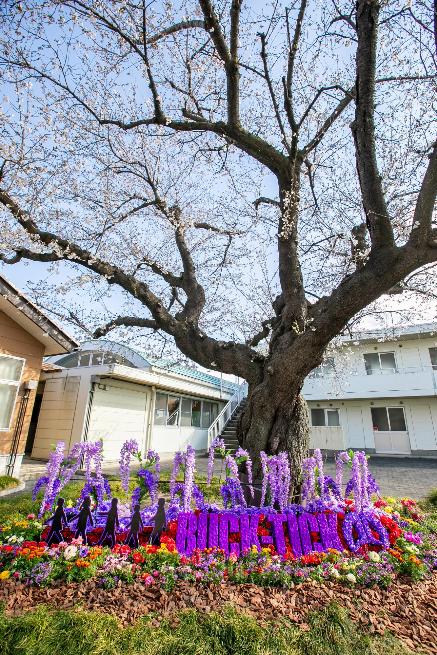 BUCK-TICK・藤岡市観光協会」コラボ企画2025／藤岡市