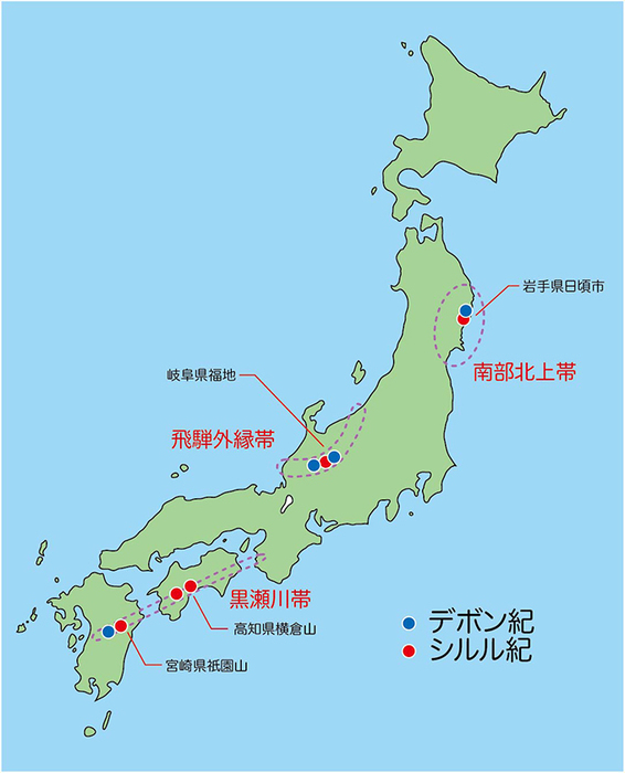館長コラム 「こんな化石も展示しています」第6回 ー三葉虫その6