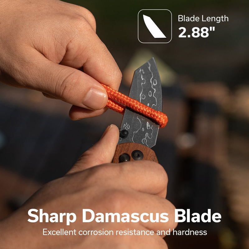 CIVIVI Yonder Damascus Blade Wood Handle Knife