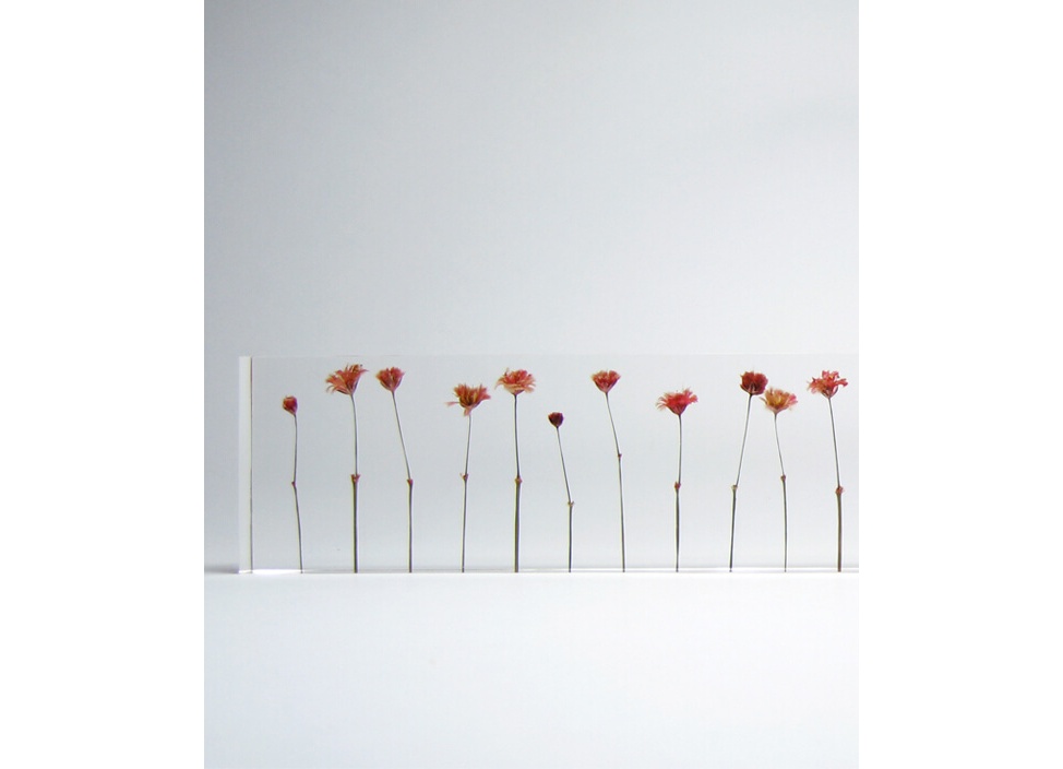 studio note / スタジオノート】f,l,o,w,e,r,sの商品詳細ページ