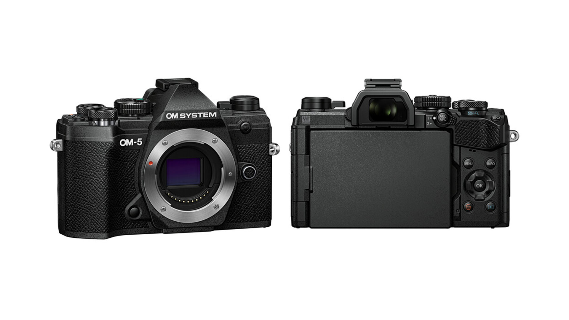 OM SYSTEMがマイクロフォーサーズミラーレスカメラ「 OM-5」を発売 | CineD
