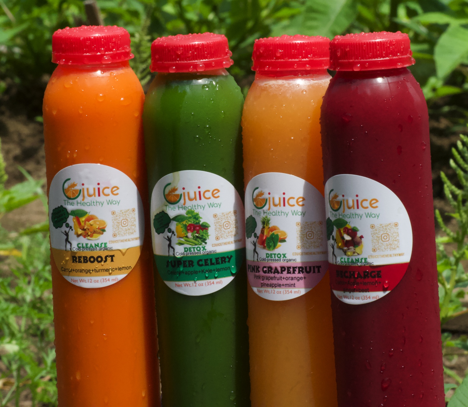 Green Light Detox(2day) 12oz Bottles – www.cjuicecoldpress.com