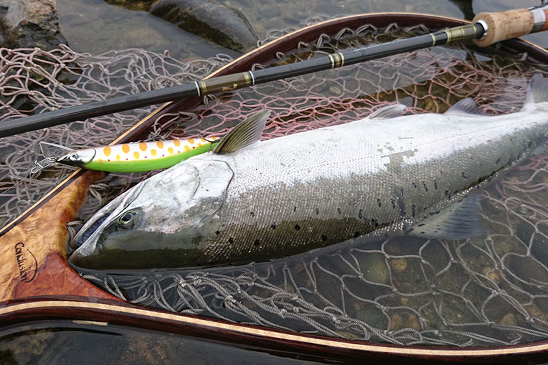 Casket カスケット｜トラウト、バス、ソルトルアー専門店｜通販可能｜